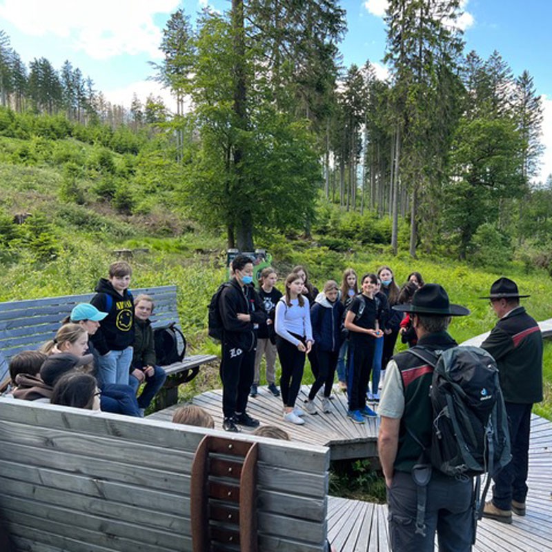 Exkursion in den Nationalpark Hunsrück-Hochwald