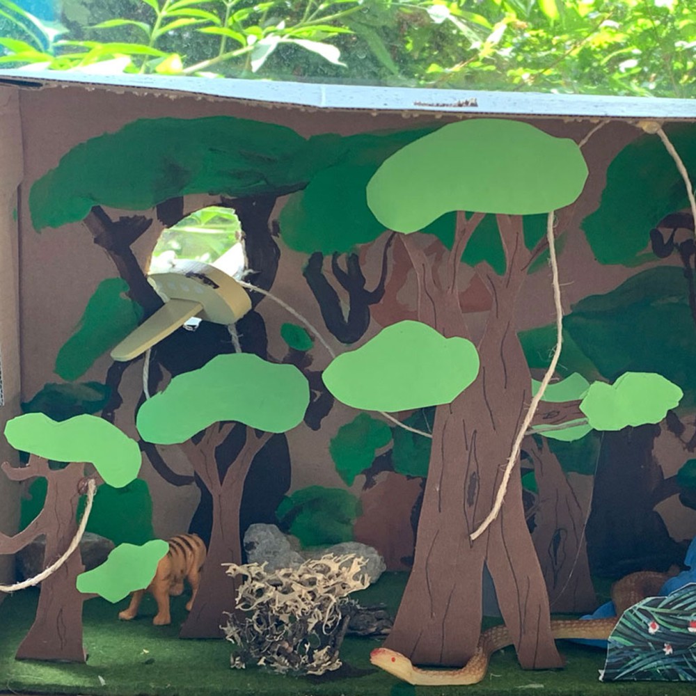 Regenwald im Schuhkarton – Kreativprojekt der Klasse 5b