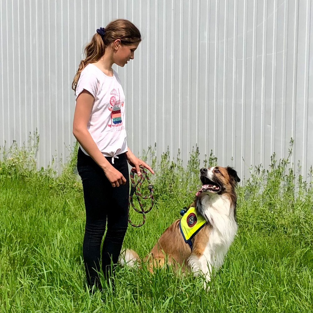 Die Rettungshunde Luna und Charlie besuchen den Bili-Vorkurs (II)