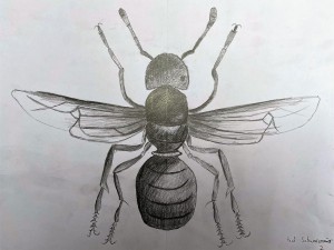 Paul Schwarzmaier